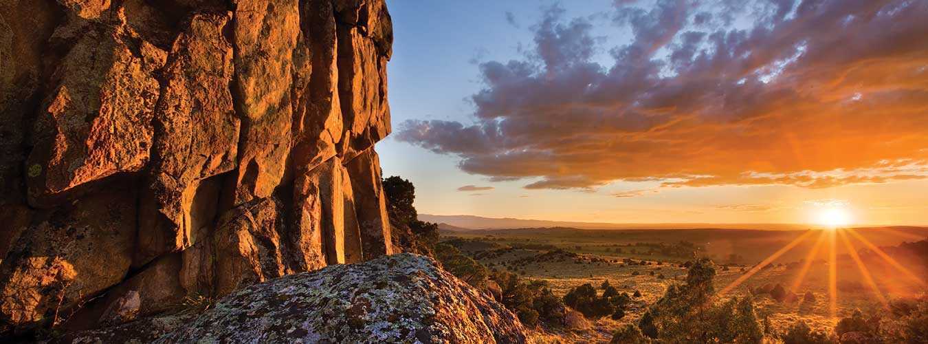Bush-Creek_Header
